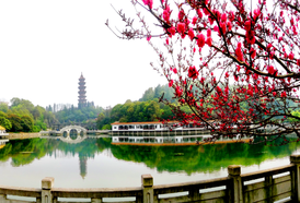 青山公园